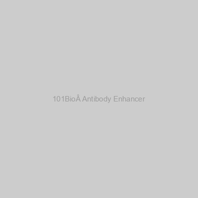 101BioÂ Antibody Enhancer
